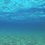 imagen tomada desde debajo del agua