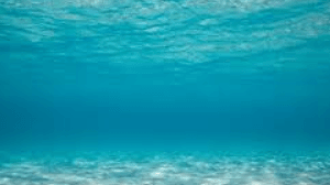 el mar
