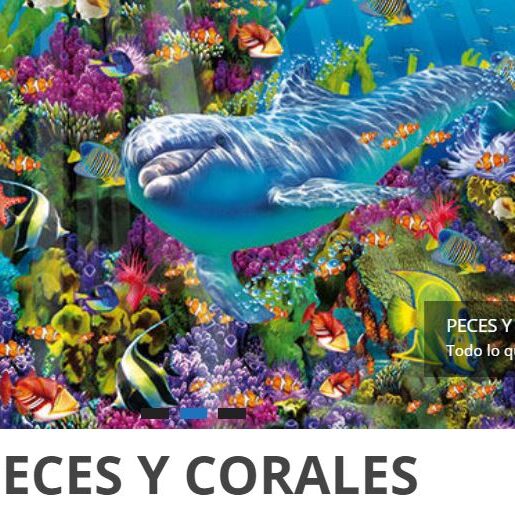 peces y corales peces y corales