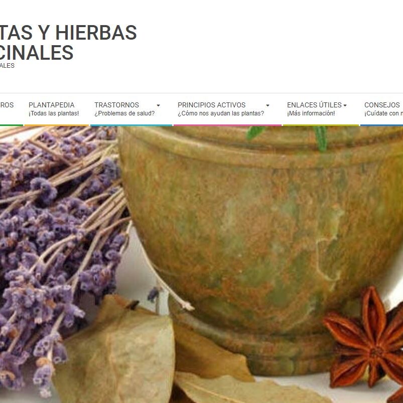 plantas y hierbas medicinales